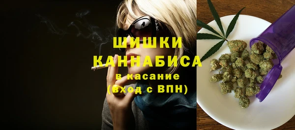 гидра Мегион