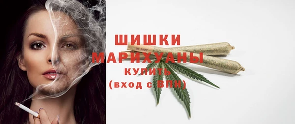 гидра Мегион
