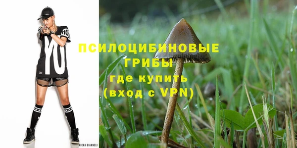 первитин Медвежьегорск