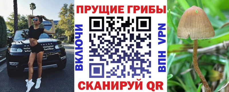 Галлюциногенные грибы мицелий  Иваново 